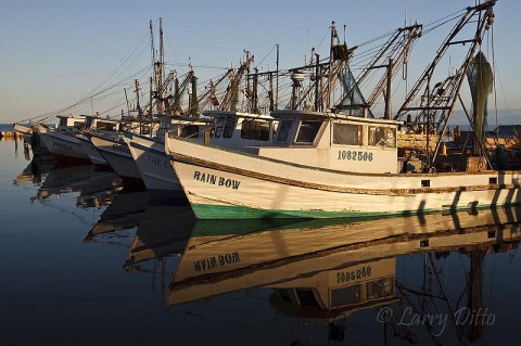 We spent the last hour of Monday afternoon photographing Fulton harbor.  Fulton adjoins Rockport and both towns have photogenic harbors.