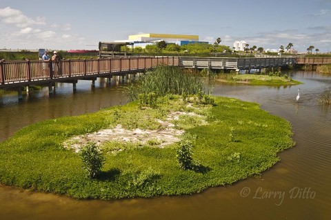 There is almost a half mile of boardwalk over salt and fresh-water marshes at the SPI World Birding Center.