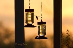 Sunrise on the front porch at Barnhart Ranch and Nature Retreat.