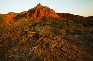 First light on Caprock Canyons State Park near Quitaque, Texas