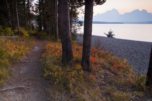 Path along the Jackson Lake shoreline with smokeyTetons at sunset.