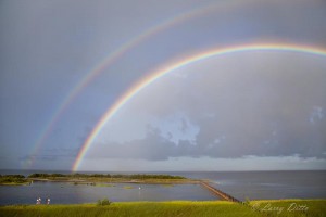 Rainbow_MG_6150