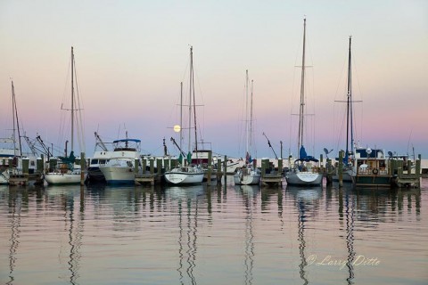 Full moon rising behind the masts of pleasure boats moored at Fulton harbor.