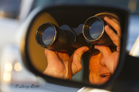 "Happiness is watching bald eagles in my rear view mirror."