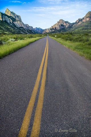 Highway into the Chiricahua Mountains at sunrise.