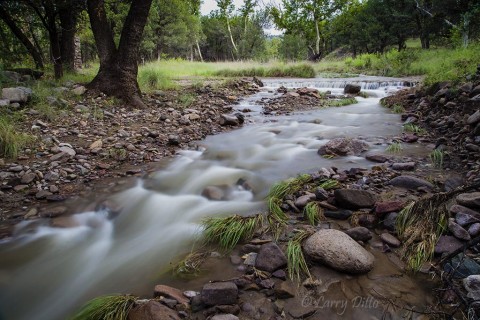 Creek in the Chiricahua Mountains carrying monsoon rainwater to the desert below.