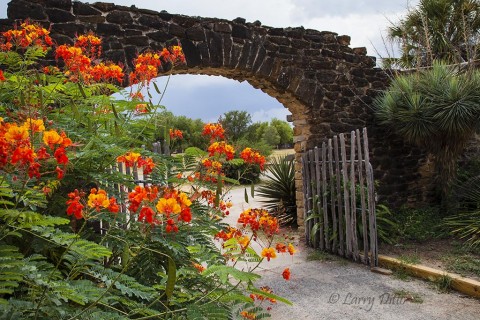Photogenic gate at Mission San Jose, San Antonio.