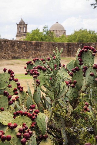 An afternoon at the historic missions of San Antonio was productive.