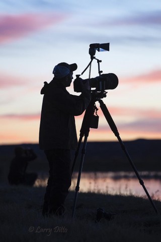 Photographer working the cranes coming to roost at sunset.