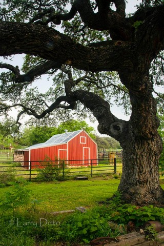 Red barn at Block Creek Bed and Breakfast