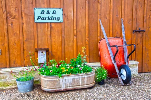 Parking and flowers at Block Creek B&B