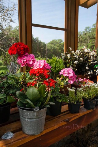 Block Creek Natural Area green house.