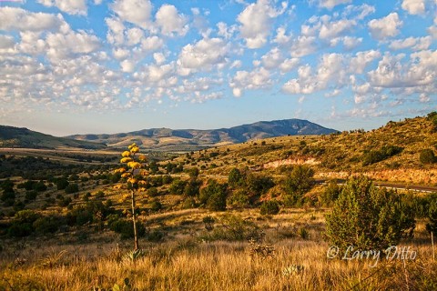 Davis Mountains and agave in bloom, Texas, July