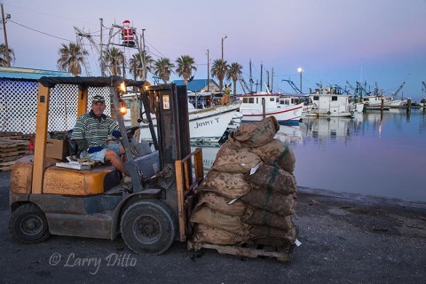 Anthony Godinich, owner of Alby's Seafood, Fulton, Texas marina.