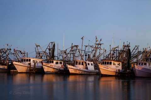 Fulton Harbor at sunset