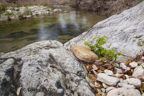 White stones along the bank of Block Creek.