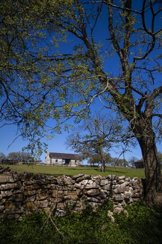 Rock Fence and cabin with dog run