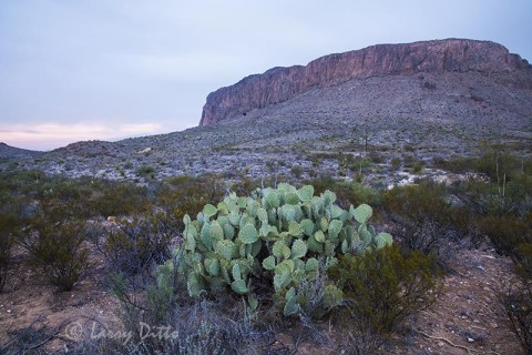 Christmas Mountians, west Texas.