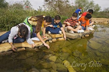 4th graders testing water quality and looking for aquatic life at Edinburg World Birding Center, Edinburg, Texas