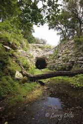The Old Tunnel Bat Cave, formerly a railroad tunnel, near Fredericksburg, Texas. Over 300,000 bats roost here during the spring and summer months.