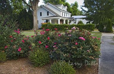 Inn at Bath Creek, bed & breakfast, historic Bath, North Carolina. Excellent accommodations and food provided with warm hospitality. Located in the heart of Bath's historic waterfront district.