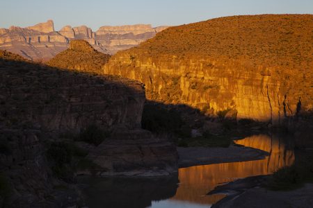 Big Bend wildflowers, Big Bend National Park, Texas