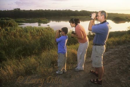 Adults teaching young son to bird at Llano Grande World Birding Center, Weslaco, Texas, sunrise