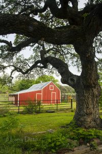 Red barn at Block Creek B&B