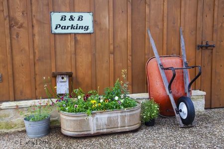 Parking and flowers at Block Creek B&B