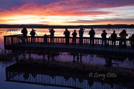 Photographers at Bosque del Apache National Wildlife Refuge, New Mexico