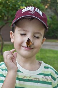 Boy with butterfly on his nose.