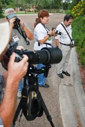 Butterfly Festival Tour Group searching for butterflies at the Old Hidalgo Pumphouse. Left to right are: Carl Miliken (with telephoto lens and camera), Javier DeLeon (leader/guide), and Dawn Gordon and Ricky Gordon.