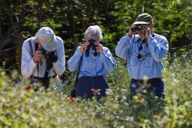 Miner Long (left) and Marion and Frank Peace (green cap) butterflying at the NABA International Butterfly Park, Mission, Texas in the mid-morning hours when sunshine and butterfly activity are at their peak. It is a good idea to photograph anything that might be a rarity in a park where finding butterfly rarities is common.