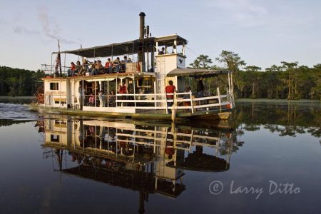 Touring Caddo Lake, Texas on paddle-wheel boat, Graceful Ghost