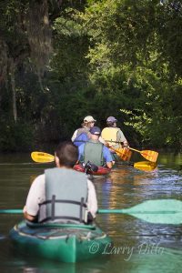 Canoeing Santa Ana Refuge during flood of July, 2010
