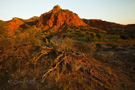 Caprock Canyons State Park, Texas