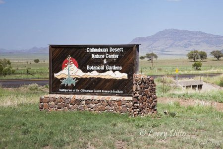entrance sign at Chihuahuan Desert Nature Center, Fort Davis, Texas