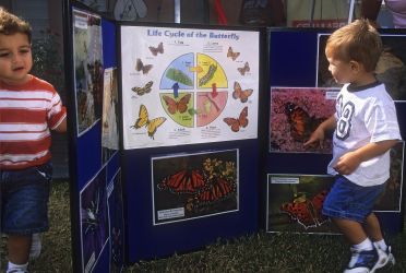 Mission's "Texas Butterfly Festivals" offered many opportunities for children to learn about butterflies and the nature.