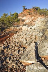 Juniper on rocky outcropping, Copper Breaks State Park near Quanah, Texas, winter