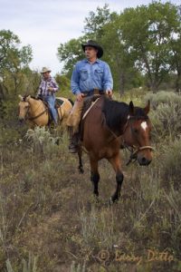 Cowboys in Texas panhandle area looking for stray livestock.