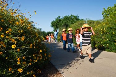 Young naturalists look for butterflies.