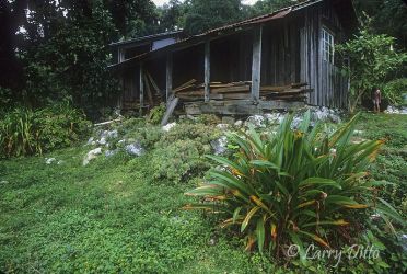 Caretaker's House at Rancho Cielo Research Station operated by University of Texas-Southmost, Cloud Forest in the El Cielo Biosphere Reserve, Tamaulipas, Mexico.