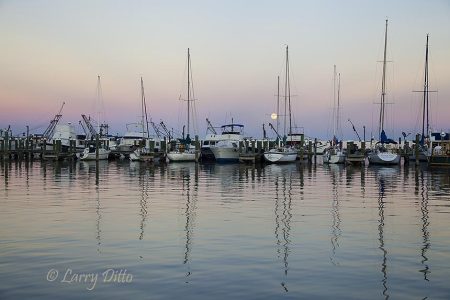 Fulton Harbor, December
