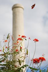 At the Old Hidalgo Pumphouse historic site, flower gardens and butterflies are a part of the landscape.