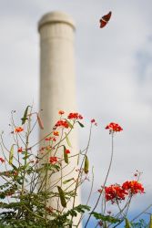 At the Old Hidalgo Pumphouse historic site, flower gardens and butterflies are a part of the landscape.