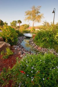 The Old Hidalgo Pumphouse walking trail crosses a small stream and a colorful butterfly habitat.