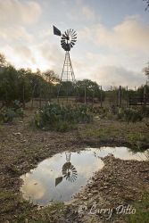 An old windmill is still in use, sunrise and clouds at Kickapoo Caverns State Park near Bracketville, Texas. This one pumps water to sustain the area's wildlife.