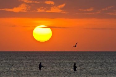 Wade fishing in Laguna Madre at sunset.