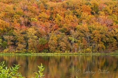 Lake Mineral Wells State Park in autumn
