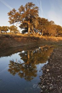 Creek, McClelland Ranch, Texas
